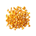 Vitamin B5