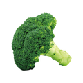 Vitamin B7