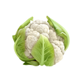 Choline