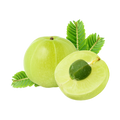 Gooseberry Extract