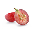 Grape Seed Extract