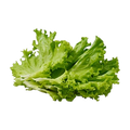 Lutein
