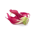 Sesbania Grandiflora Extract