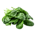 Spinach Extract