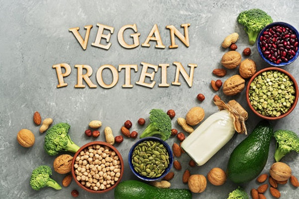 Plant-based Protein Sources That Actually Boost Energy