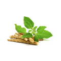 Ashwagandha Root Extract
