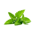 Lemon Balm Extract